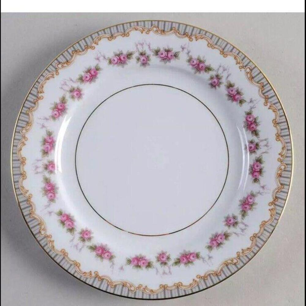 🍽️Noritake Ridgewood Salad Plate 461418
